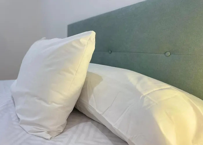 Luz De Camelias * Comarca de Vigo